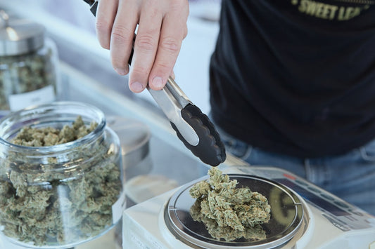 The Surprising Effects of Cannabis on Physical Performance
