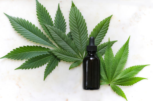 The Benefits of CBD for Health and Wellness