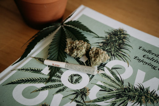 Dispelling Common Myths About Cannabis